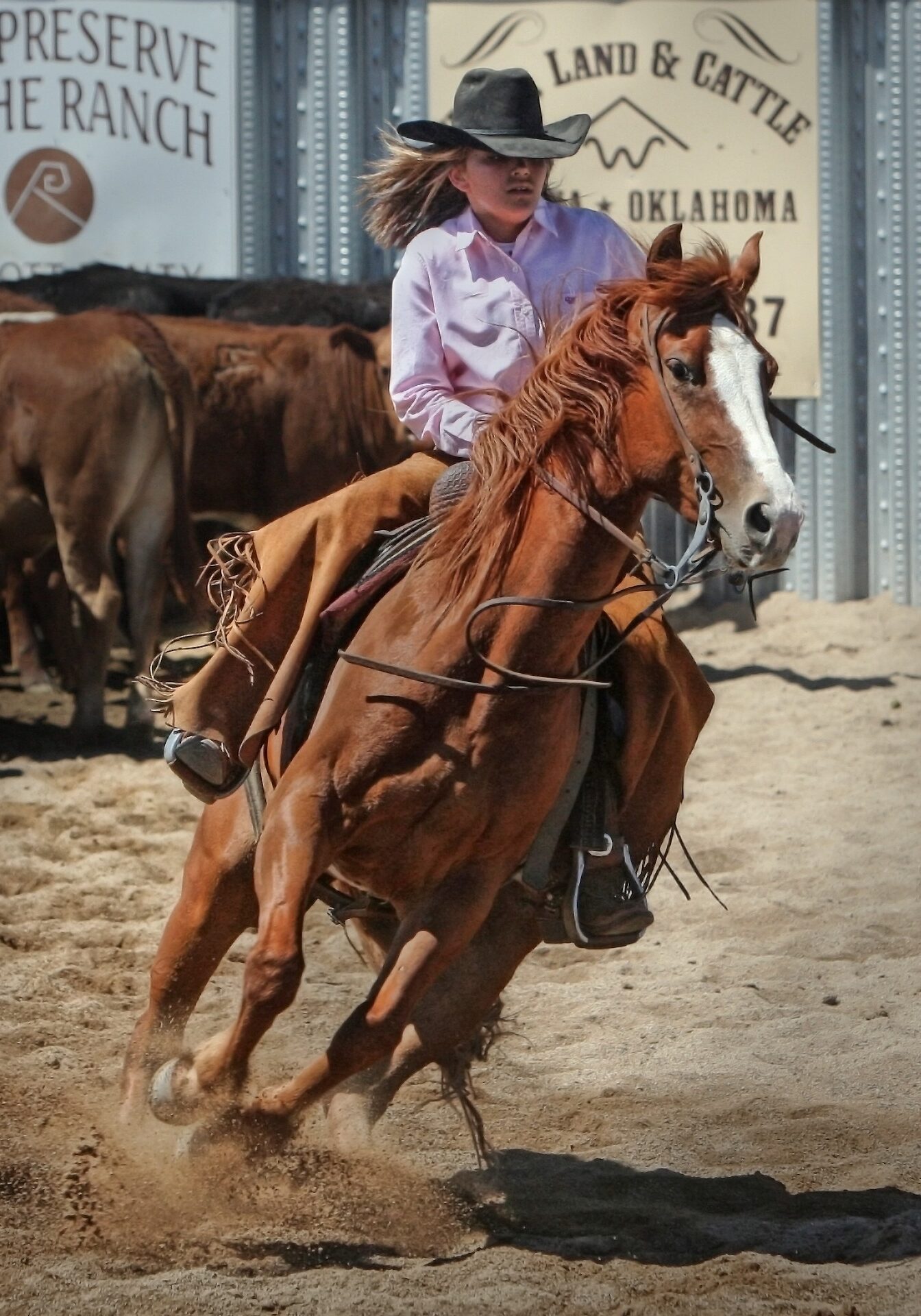 cowgirl-419084_1920 cowgirl-419084_1920