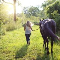 woman-with-horse-2631173_1920 woman-with-horse-2631173_1920